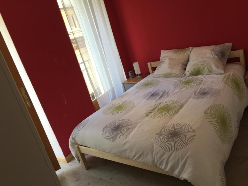 Le Cocon Apartment Bagneres-de-Luchon ภายนอก รูปภาพ